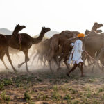 A quick travel guide to Rajasthan